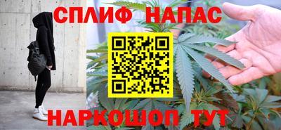 СК Будённовск
