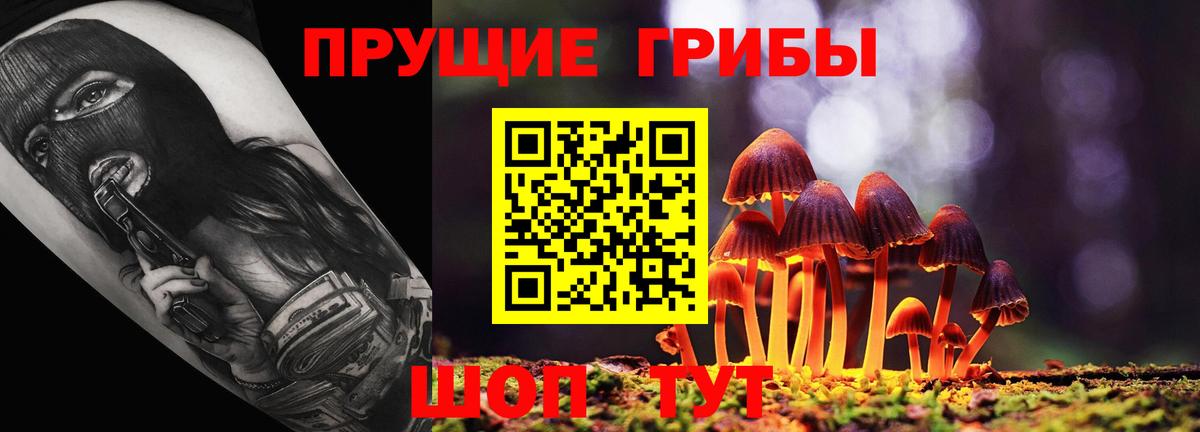 Псилоцибиновые грибы ЛСД  Вход с VPN  Лабинск 